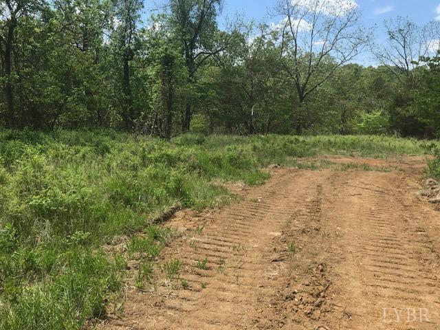 687 Elon Rd Rd, Madison Heights, Virginia image 17