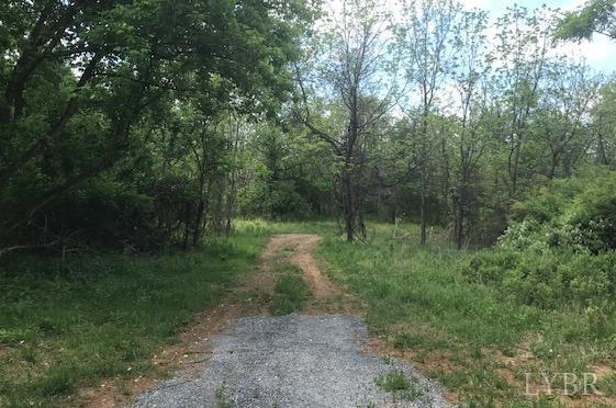 687 Elon Rd Rd, Madison Heights, Virginia image 7