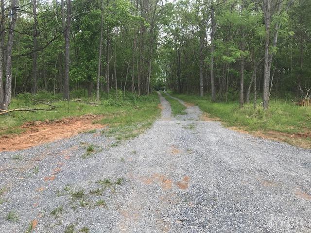 687 Elon Rd Rd, Madison Heights, Virginia image 9