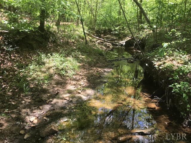 687 Elon Rd Rd, Madison Heights, Virginia image 6