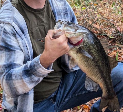 Tiny photo for 520 Old Trents Ferry Road, Lynchburg, VA 24503 (MLS # 363573)