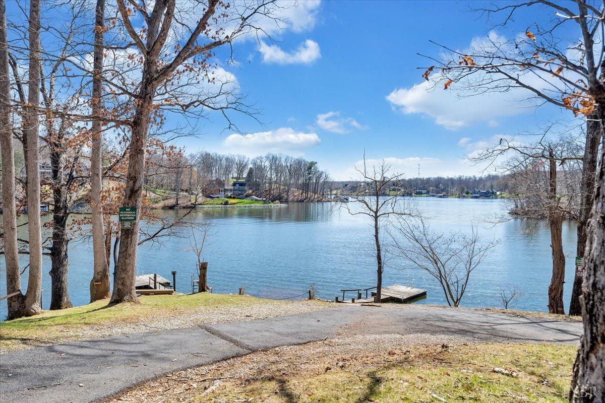 1309 Gate Lane, Moneta, Virginia image 34