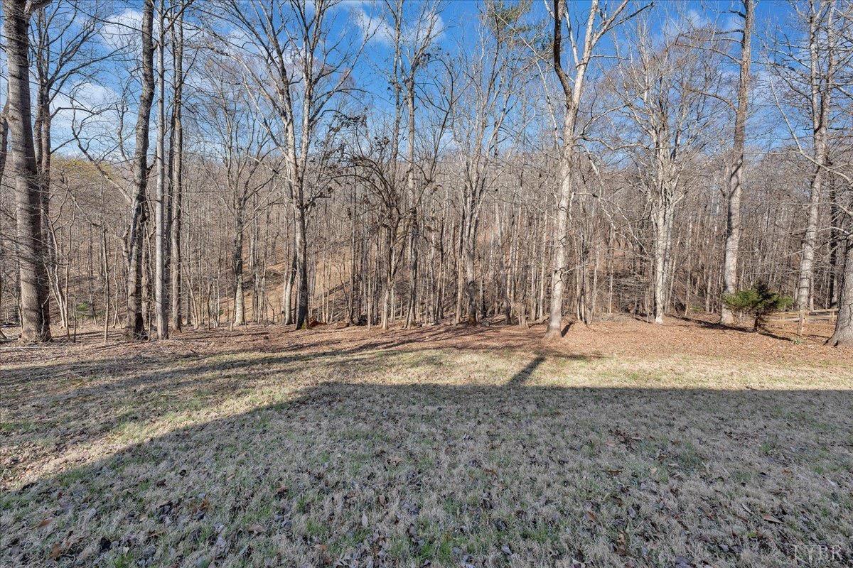1309 Gate Lane, Moneta, Virginia image 33