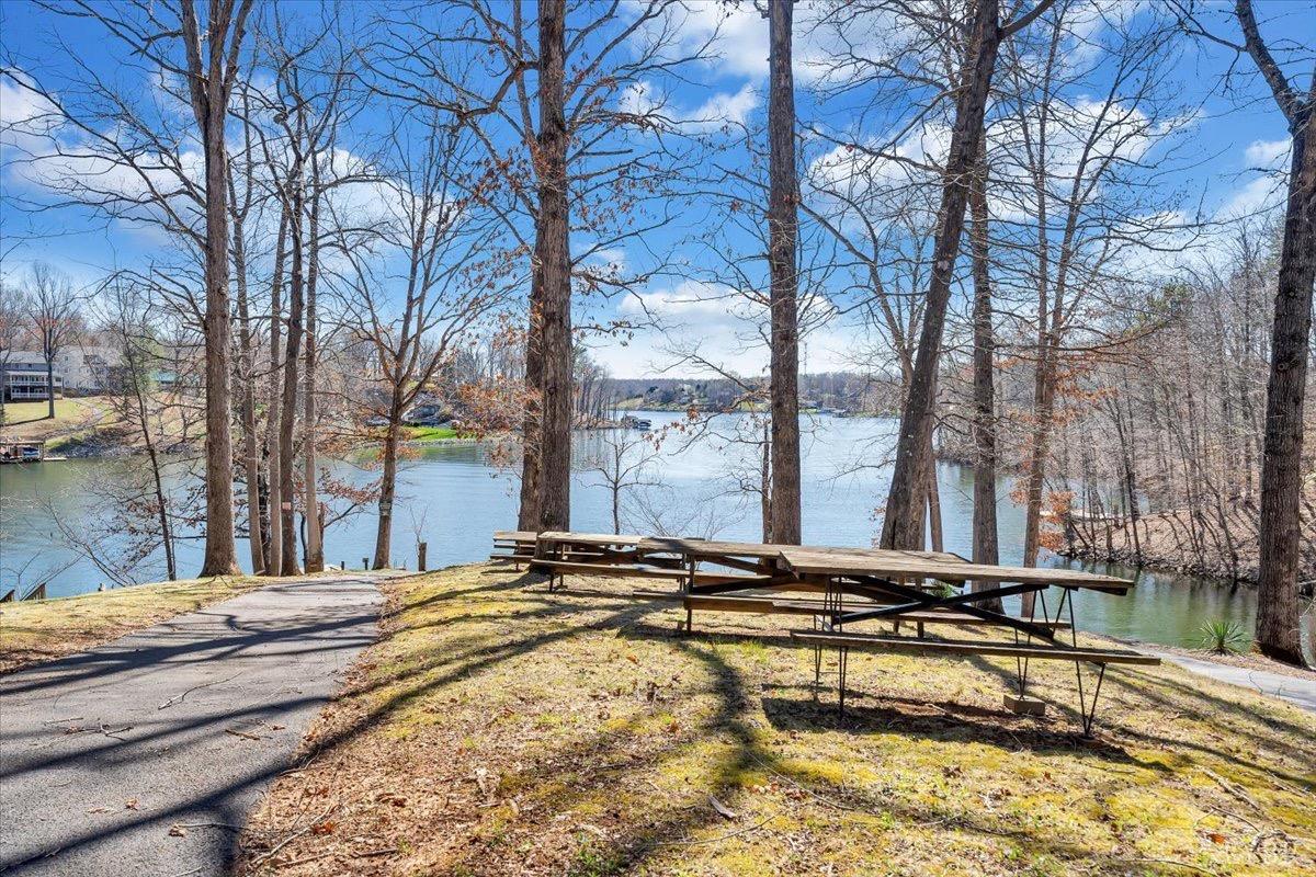 1309 Gate Lane, Moneta, Virginia image 35
