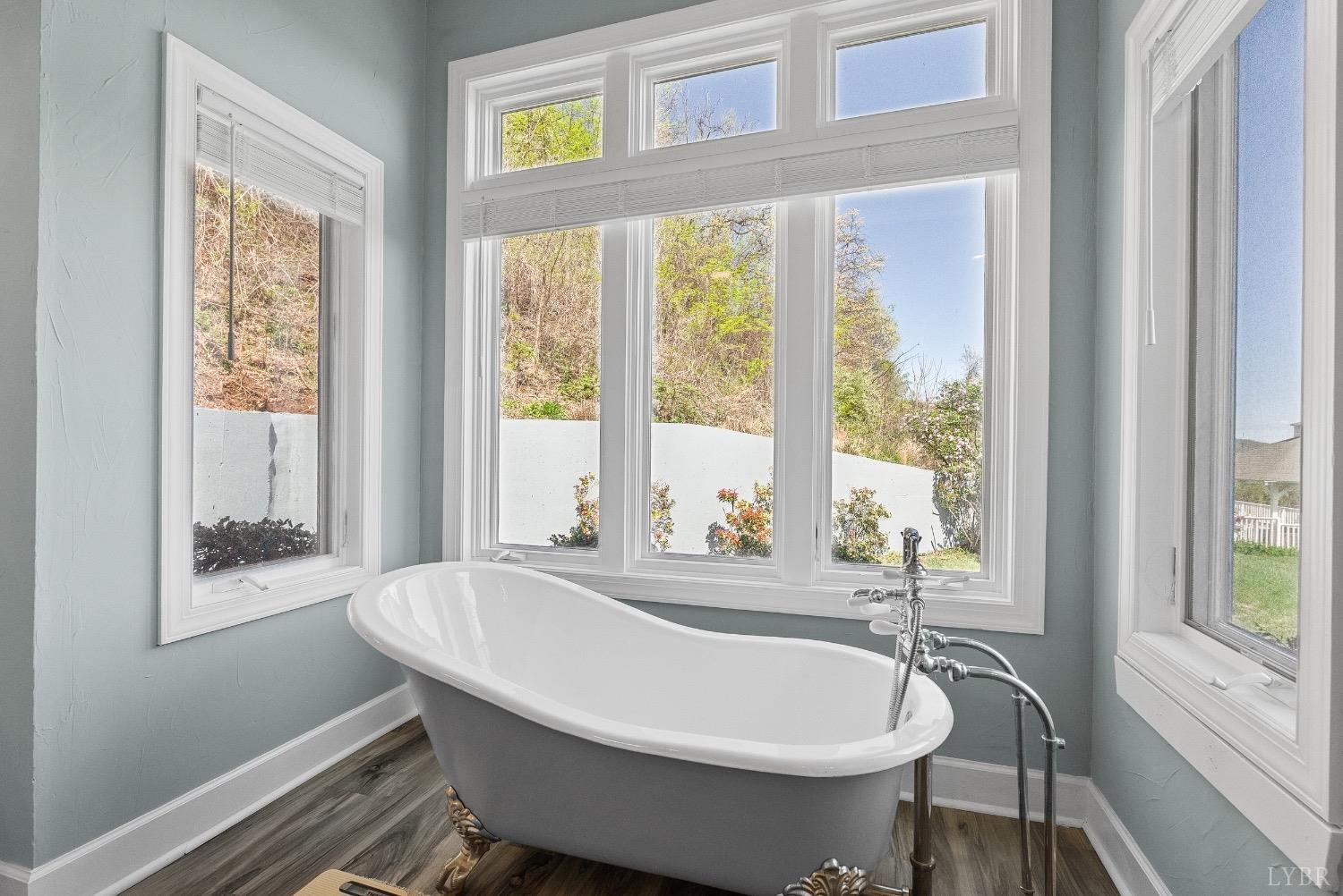 1261 Spring Mountain Road, Lynchburg, Virginia image 36