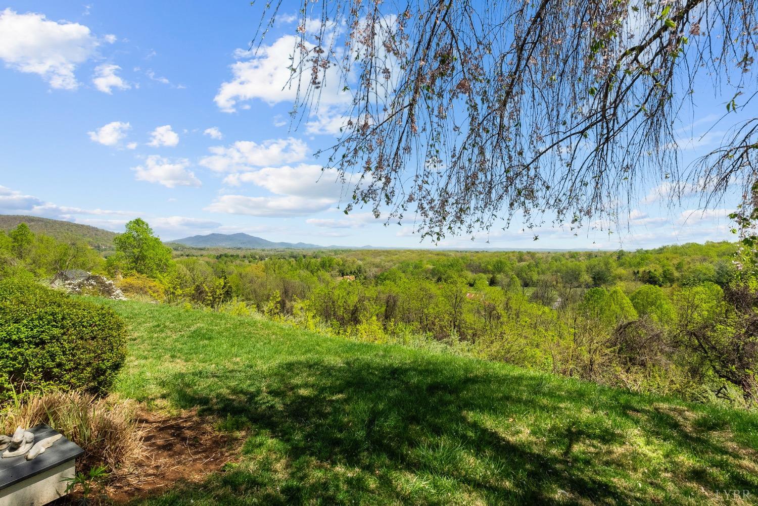 1261 Spring Mountain Road, Lynchburg, Virginia image 7