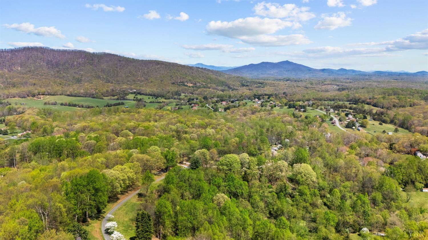 1261 Spring Mountain Road, Lynchburg, Virginia image 6