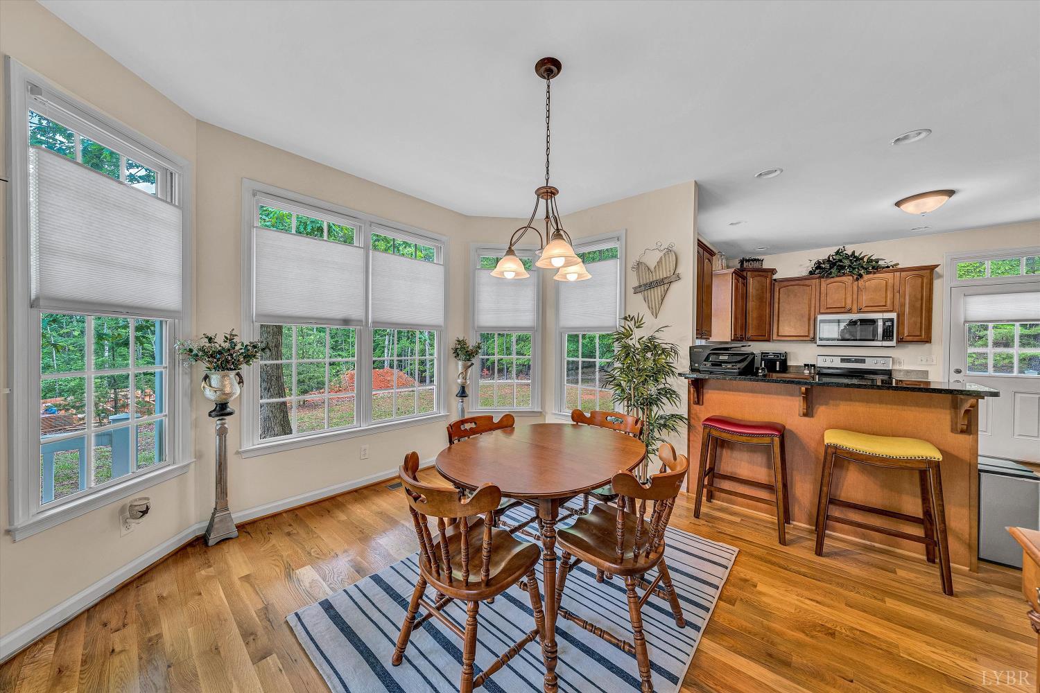 1309 W Pine Ridge Road, Huddleston, Virginia image 9