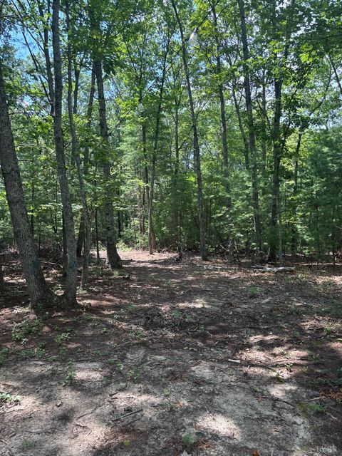 Vacant Land For Sale - Cheatham Road<br/> Monroe, VA 24574