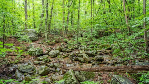 Vacant Land For Sale - 1509 Spruce Creek Ln<br/> Nellysford, VA 22958