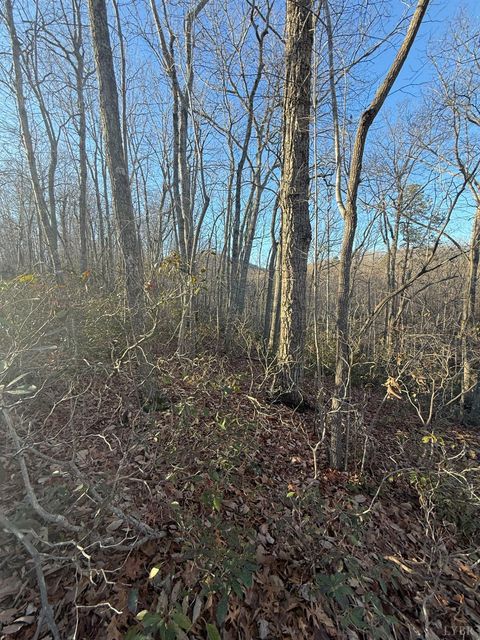 Tiny photo for 0 wesley Drive, Madison Heights, VA 24572 (MLS # 363660)