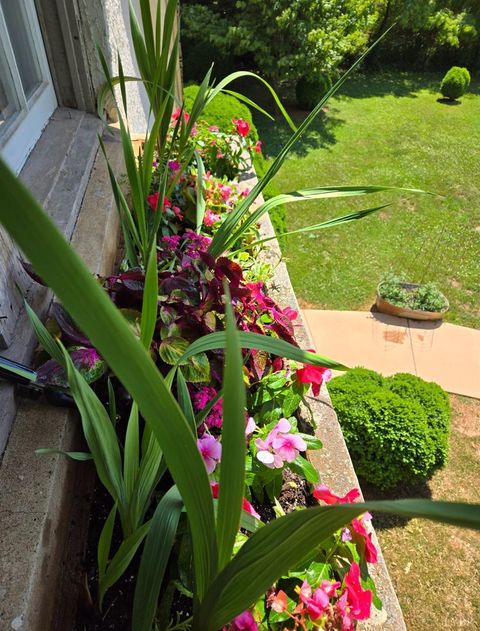 Tiny photo for 3954 Fort ave Ave, Lynchburg, VA 24502 (MLS # 365935)