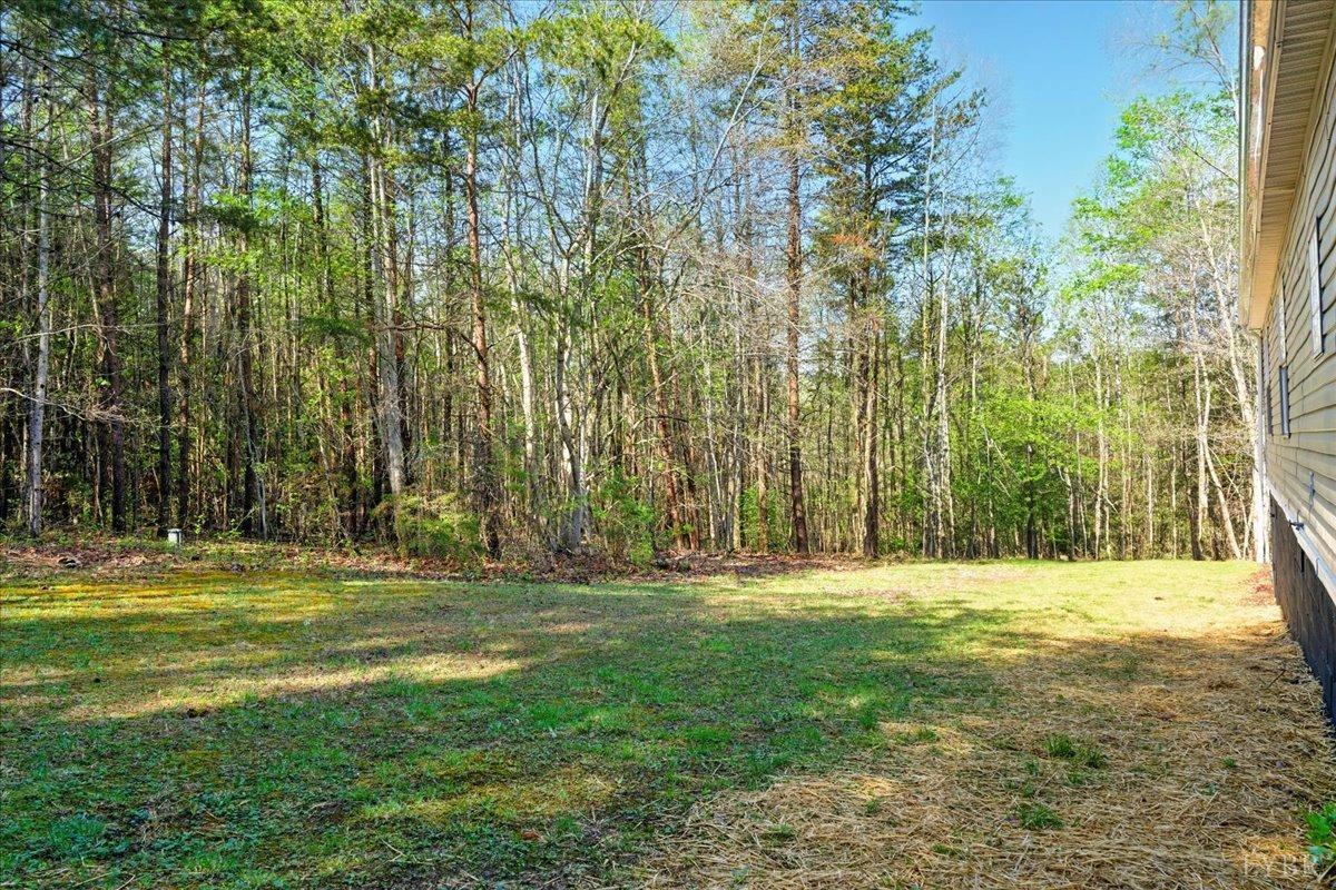 2051 State Shed Road, Halifax, Virginia image 26