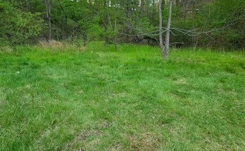 Photo of 6993 Franklin Road, Boones Mill, VA 24065 (MLS # 369790)