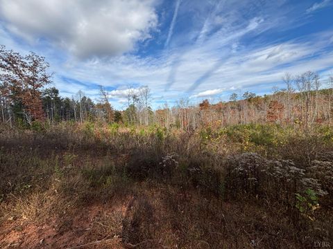Tiny photo for 0 Colemans Mill Road, Gladstone, VA 24553 (MLS # 363827)