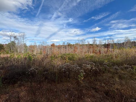 Photo of 0 Colemans Mill Road, Gladstone, VA 24553 (MLS # 363827)