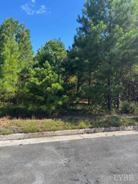 Photo of 0 Commonwealth Drive, Madison Heights, VA 24572 (MLS # 361760)