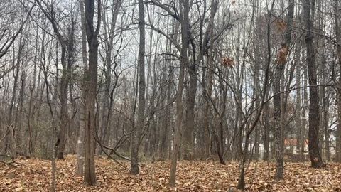 Tiny photo for 1147 Stratford Road, Lynchburg, VA 24502 (MLS # 364046)