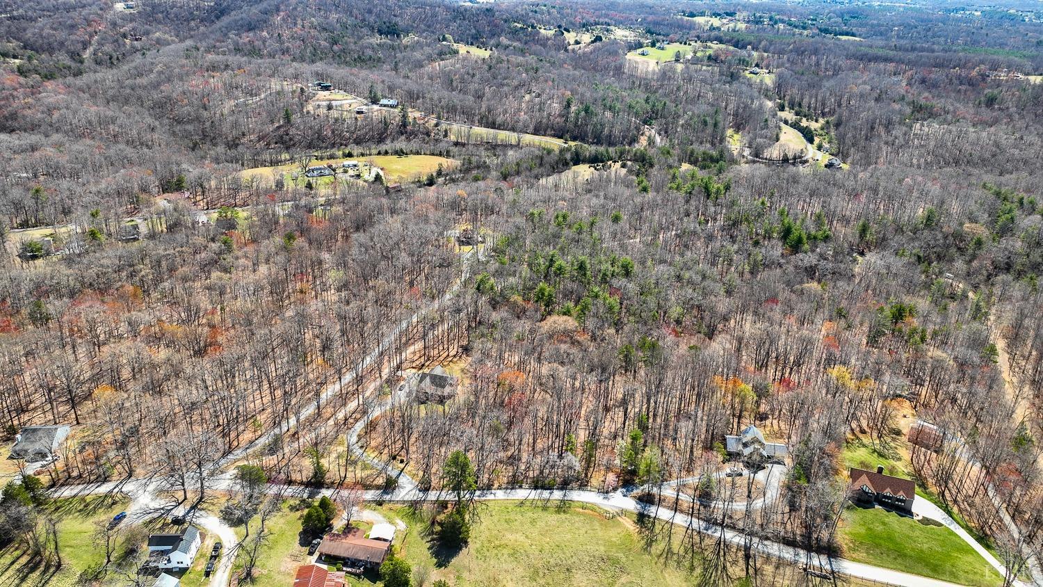 Old Cifax Road, Goode, Virginia image 11