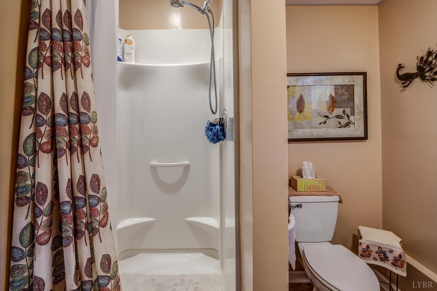 273 Sunnymeade Road, Rustburg, Virginia image 36