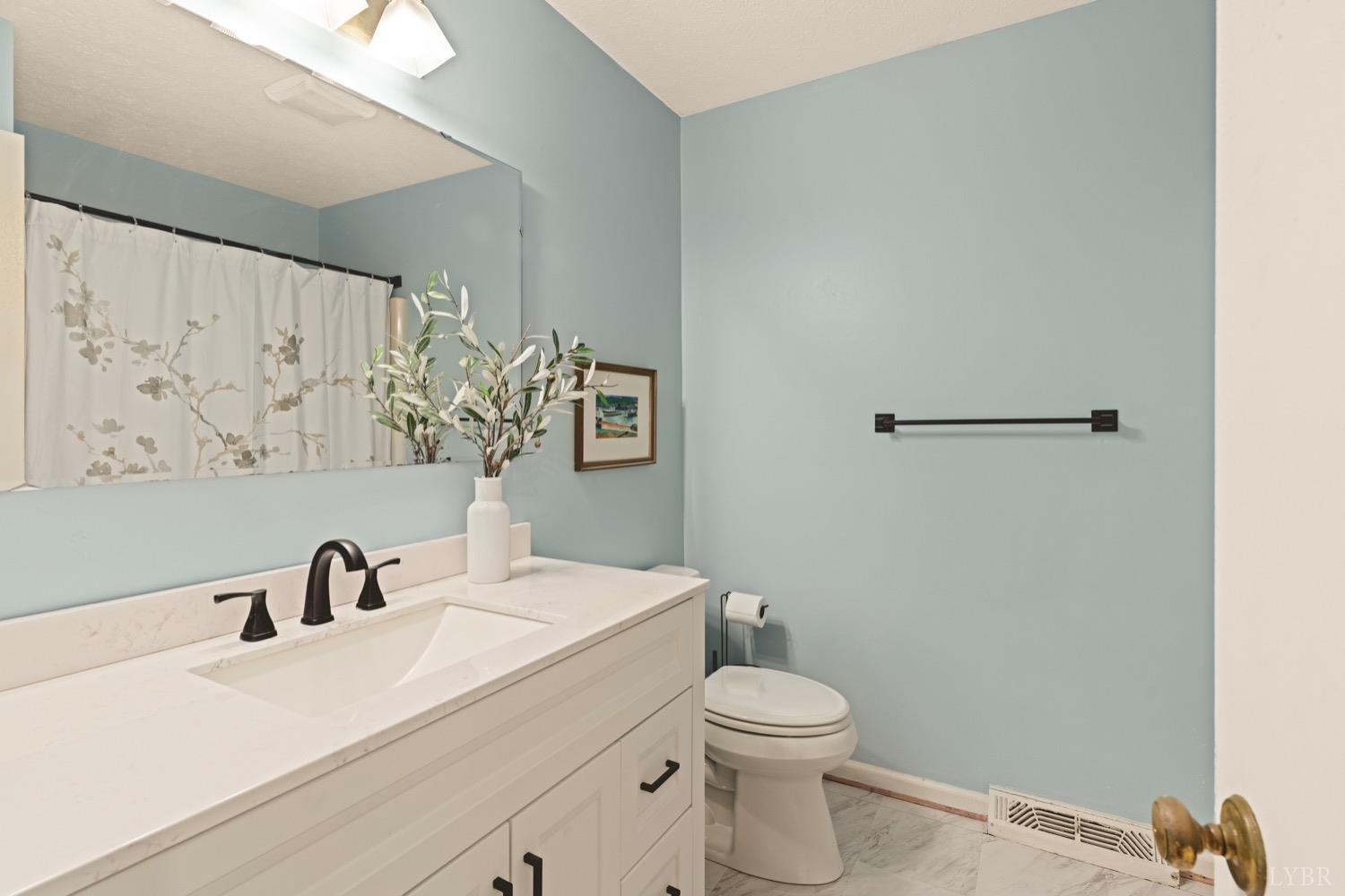 117 Stonehouse Drive, Lynchburg, Virginia image 25