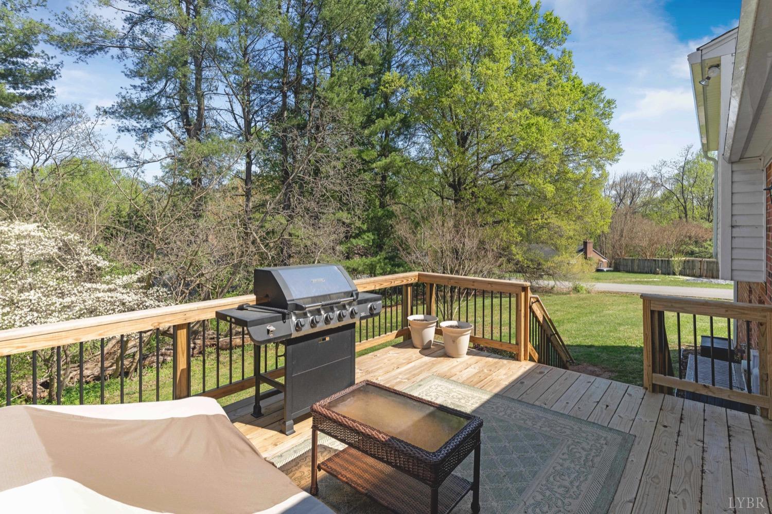 117 Stonehouse Drive, Lynchburg, Virginia image 14