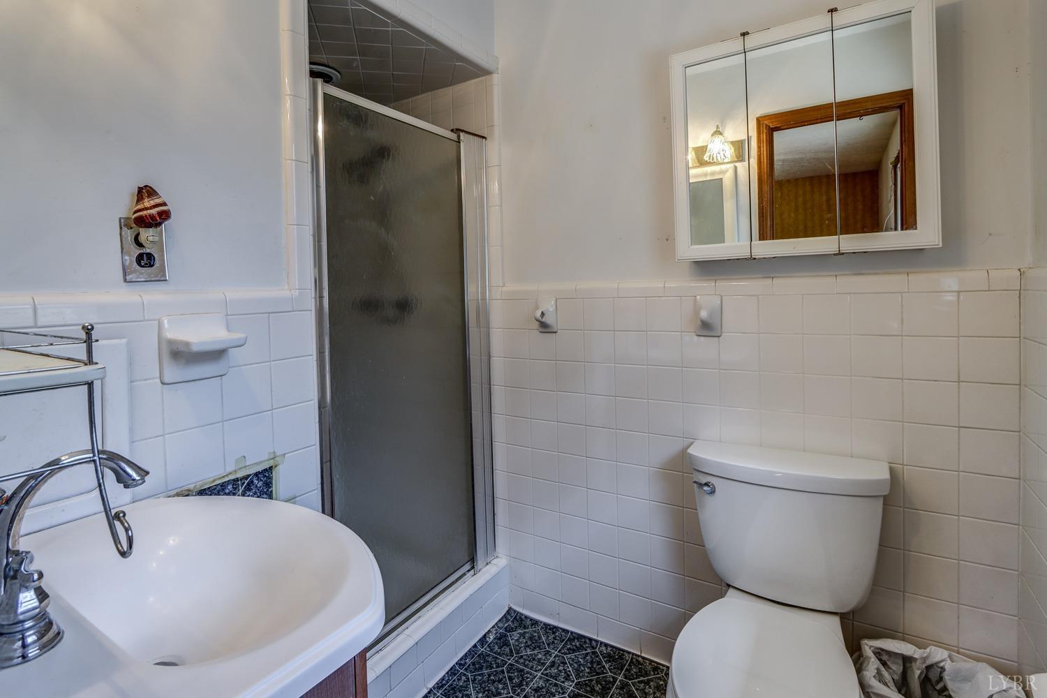 113 Circle Drive, Lynchburg, Virginia image 24
