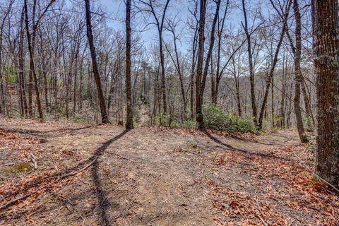Tiny photo for 384 McNeish Lane, Gladstone, VA 24553 (MLS # 365425)