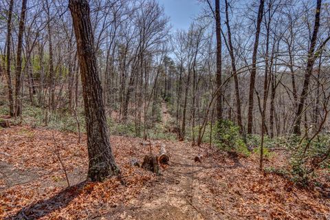 Tiny photo for 384 McNeish Lane, Gladstone, VA 24553 (MLS # 365425)