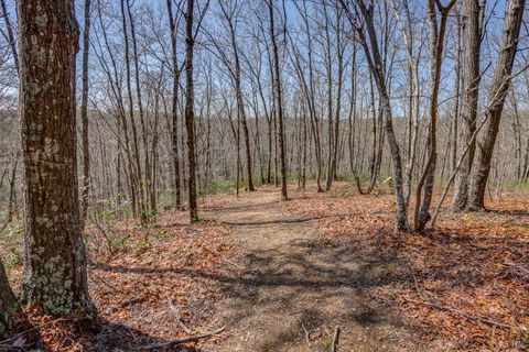 Tiny photo for 384 McNeish Lane, Gladstone, VA 24553 (MLS # 365425)