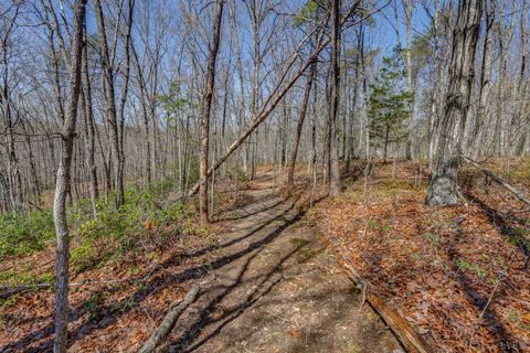 Tiny photo for 384 McNeish Lane, Gladstone, VA 24553 (MLS # 365425)