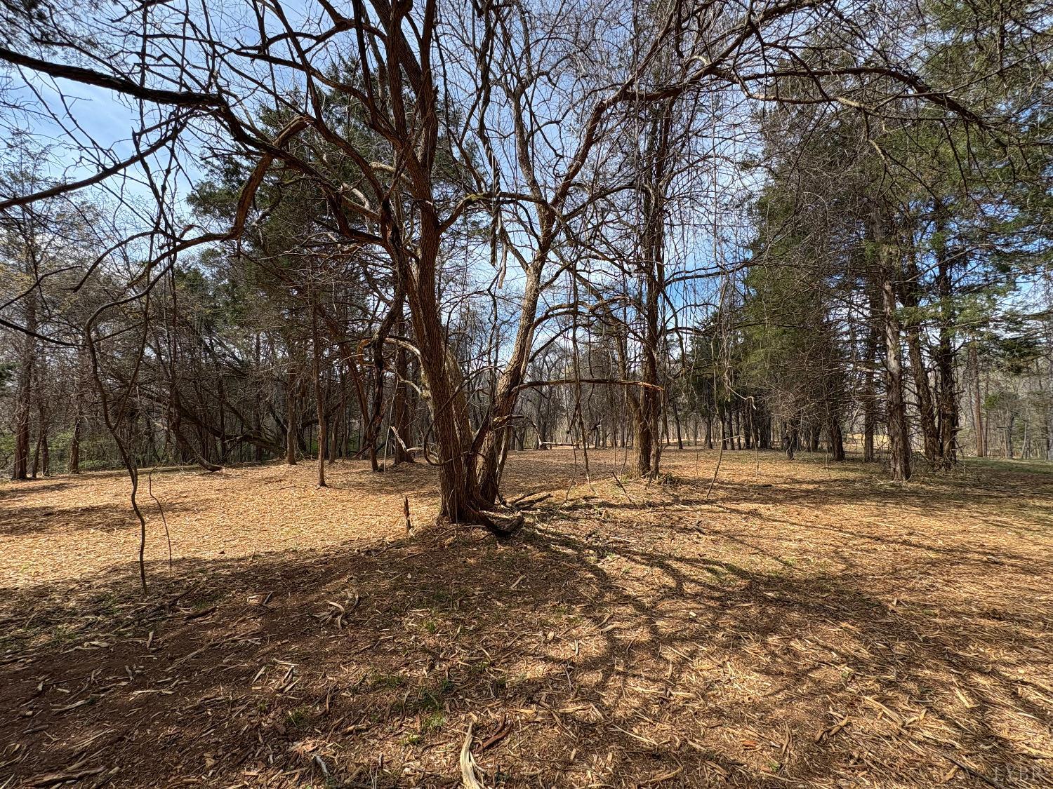 Dulwich Drive, Amherst, Virginia image 5