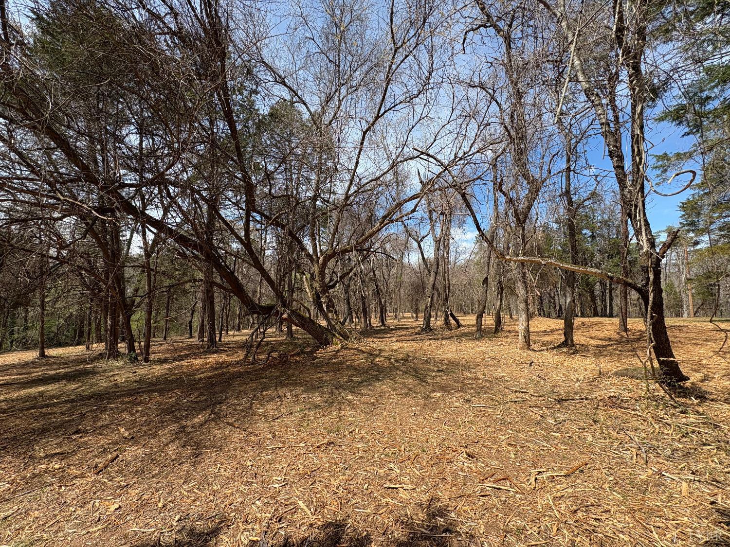 Dulwich Drive, Amherst, Virginia image 4