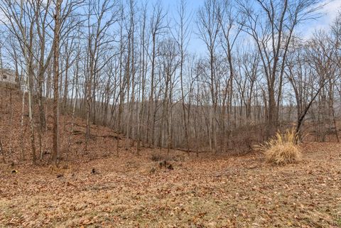 Tiny photo for 1132 James view Drive, Lynchburg, VA 24503 (MLS # 364857)