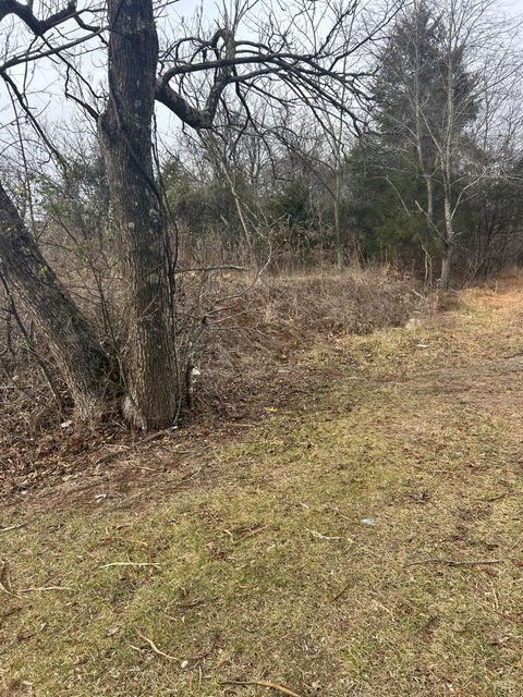 Photo of 0 Dixie Airport, Madison Heights, VA 24572 (MLS # 364051)