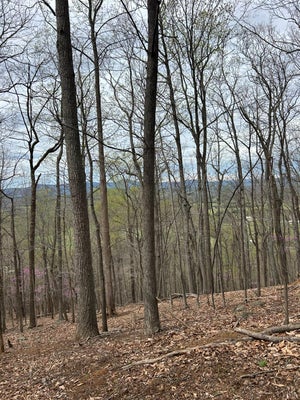 7 CRANE DRIVE, MONROE, VA 24574 - Image 1ef38aedfdd4792c03dcac948f6a9e78/3661932187