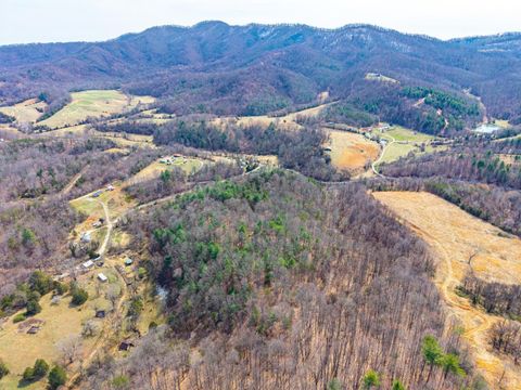 Tiny photo for 0 Puppy Creek, Amherst, VA 24521 (MLS # 365054)