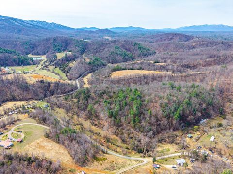 Tiny photo for 0 Puppy Creek, Amherst, VA 24521 (MLS # 365054)