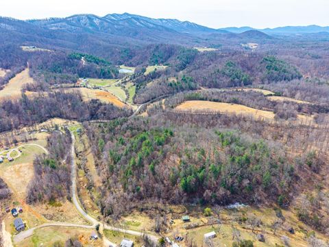 Tiny photo for 0 Puppy Creek, Amherst, VA 24521 (MLS # 365054)