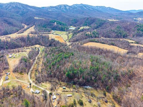 Tiny photo for 0 Puppy Creek, Amherst, VA 24521 (MLS # 365054)