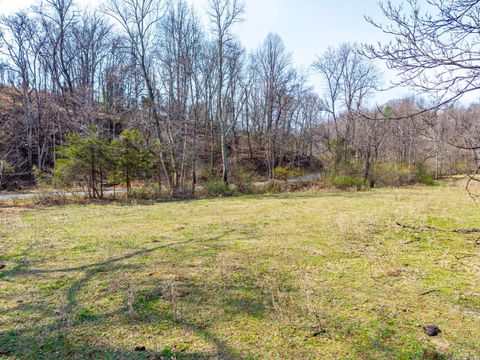Tiny photo for 0 Puppy Creek, Amherst, VA 24521 (MLS # 365054)