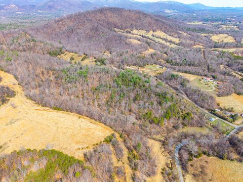 Tiny photo for 0 Puppy Creek, Amherst, VA 24521 (MLS # 365054)