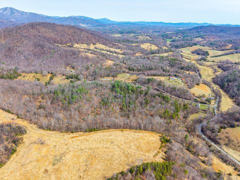 Tiny photo for 0 Puppy Creek, Amherst, VA 24521 (MLS # 365054)