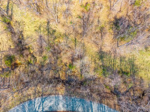 Tiny photo for 0 Puppy Creek, Amherst, VA 24521 (MLS # 365054)