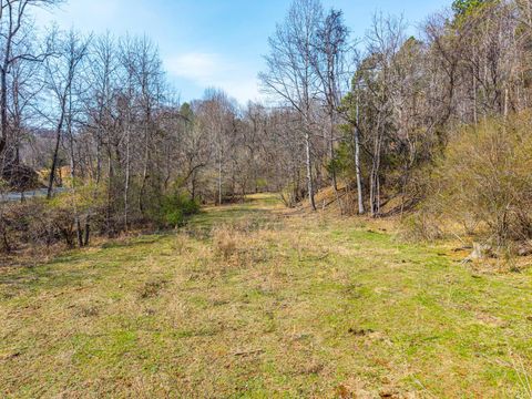 Tiny photo for 0 Puppy Creek, Amherst, VA 24521 (MLS # 365054)