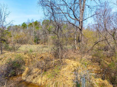 Tiny photo for 0 Puppy Creek, Amherst, VA 24521 (MLS # 365054)