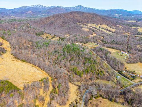 Tiny photo for 0 Puppy Creek, Amherst, VA 24521 (MLS # 365054)