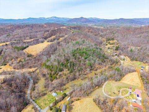 Tiny photo for 0 Puppy Creek, Amherst, VA 24521 (MLS # 365054)