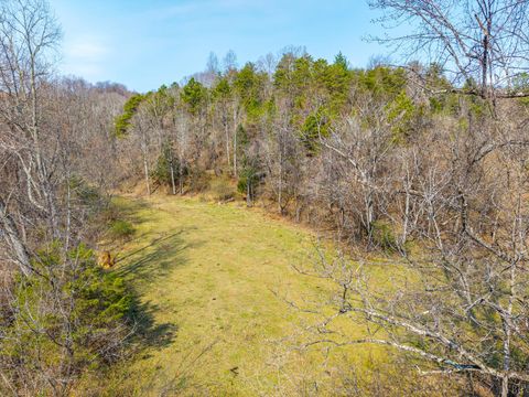 Tiny photo for 0 Puppy Creek, Amherst, VA 24521 (MLS # 365054)
