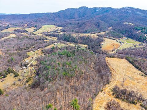 Tiny photo for 0 Puppy Creek, Amherst, VA 24521 (MLS # 365054)